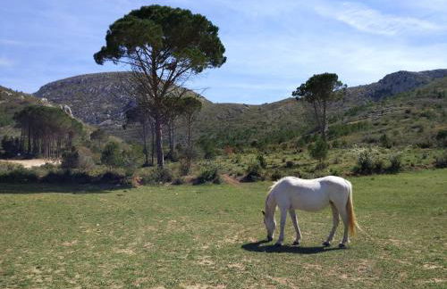 Apartamento Lliris Sol - Foto 29
