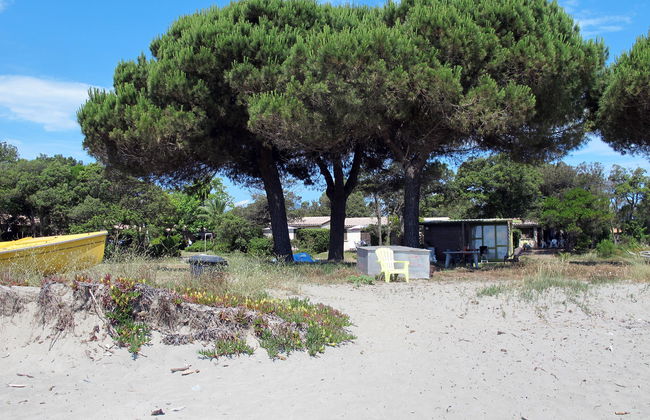 3 bedroom House in Talasani with garden and terrace - Photo 19