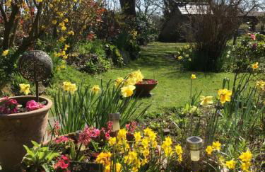 Forest Barn in the national park & near beaches - Foto 21