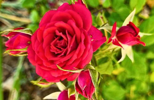 Infinity Wellness Apartment Hotel - Foto 138