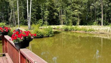 Filipowe Zacisze - Foto 2