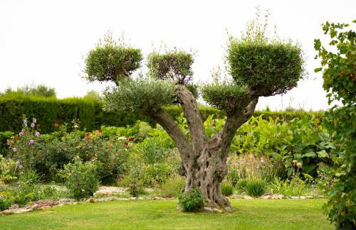 Mas Montbrio Belvedere - Foto 60