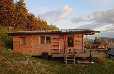 Les Chatcureuils - Foto 12