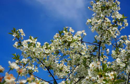 Gite L'Etable - Les Gites Du Moulin - Foto 7