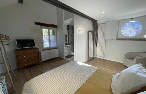 Gîte de charme avec parking, animaux admis, proche de Tours - FR-1-381-638 - Foto 18