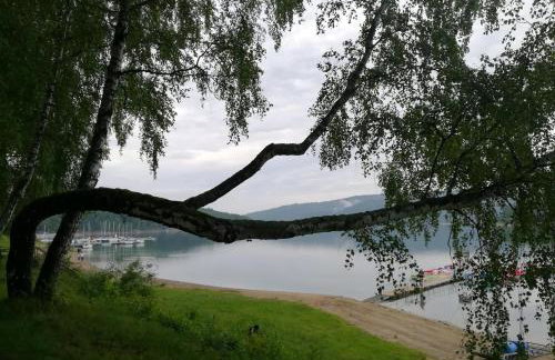 Domki Komfort - Photo 36