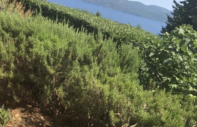 Holiday Home Sea View - Foto 24