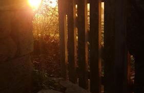 Domaine de la Brette - Photo 70