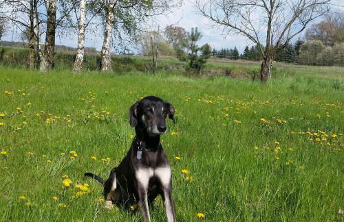 Hof Heideland 1 - Foto 3