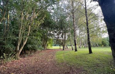 Luxury Woodlands Retreat, Countryside By The Coast - Photo 17