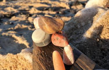 Villa Böck am Strand FeWo 8 - Foto 14