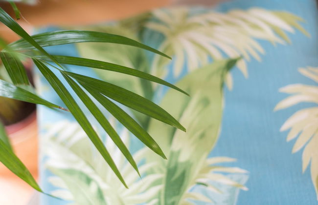 Apartamentos Santa Maria - Foto 45