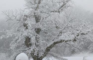 Maison au coeur de la forêt dans le Sidobre - GR36 - Foto 5