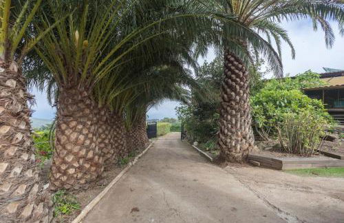 Los Paredones Farm - Private Pool - Garden - Foto 42