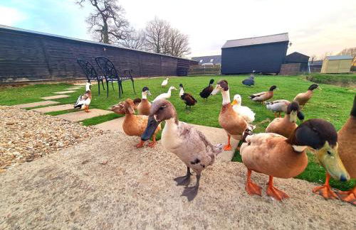 Milk Barn - Rustic farm stay - Foto 13