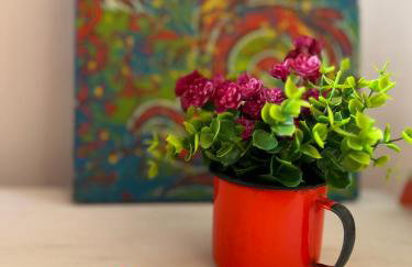 Casa Pouso dos Colibris em Paraty - Photo 30