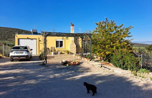 Grieks vakantiehuis To Kalokairi - Photo 7