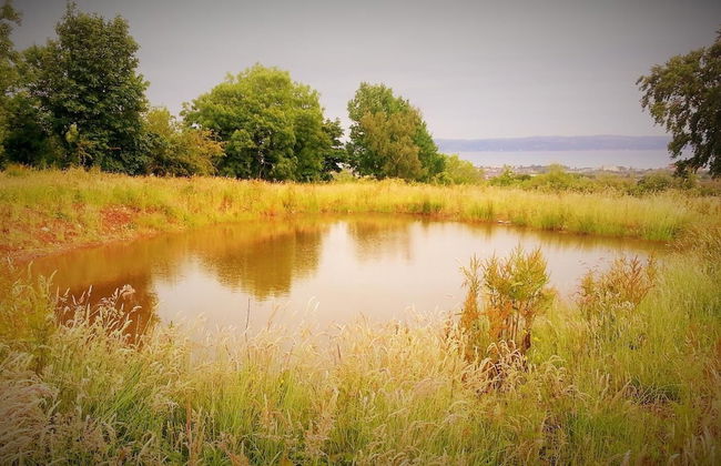 Burleigh House - Foto 36