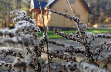 Mazurska bania u Pana Szeptuna - drewniany dom na skraju lasu - Foto 11