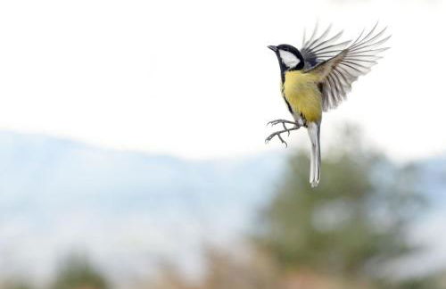 Finca La Machota Centro de Naturaleza - Foto 58