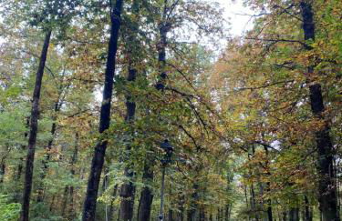 Fiuggiamo House - Foto 36