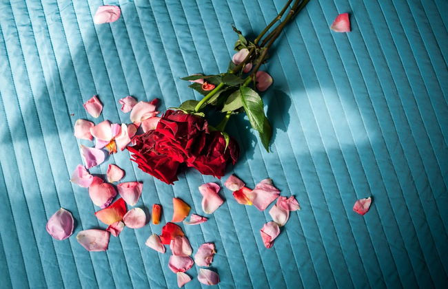 Poggiolivi Agriturismo Bio in Maremma - Photo 13