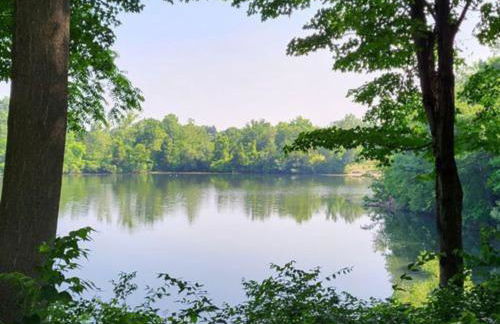 Room 20 mins to U of M - Foto 26