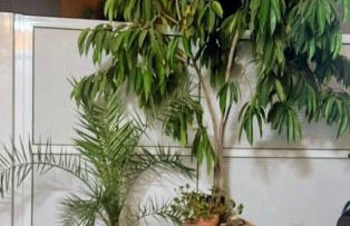 Pórtico Mediterráneo - Foto 27