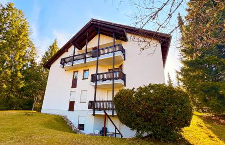 Waldapartments Titisee - Foto 49