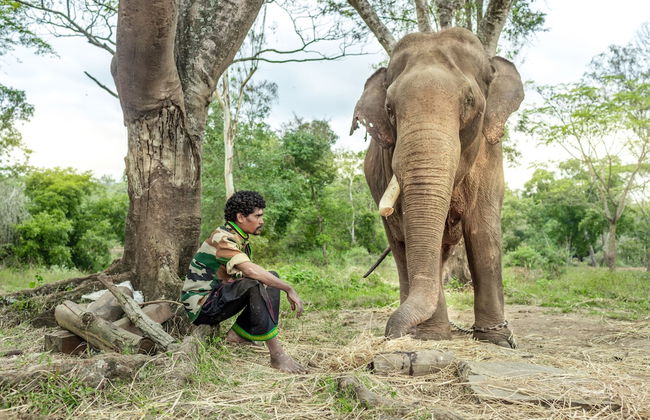 Ama Plantation Trails , Coorg - Foto 79
