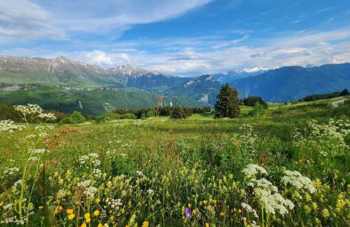 Chalet 6 à 8pers pied des pistes, piscine et vue - Photo 23