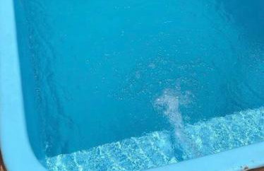 Flat aconchegante - Photo 11