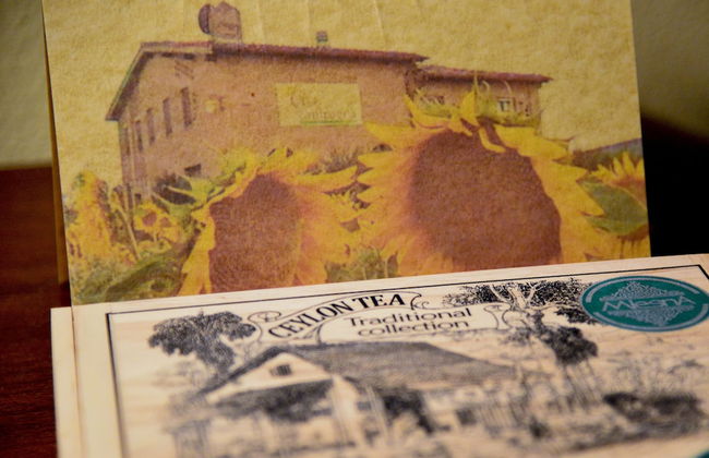 Casa di Campagna in Toscana - Foto 19