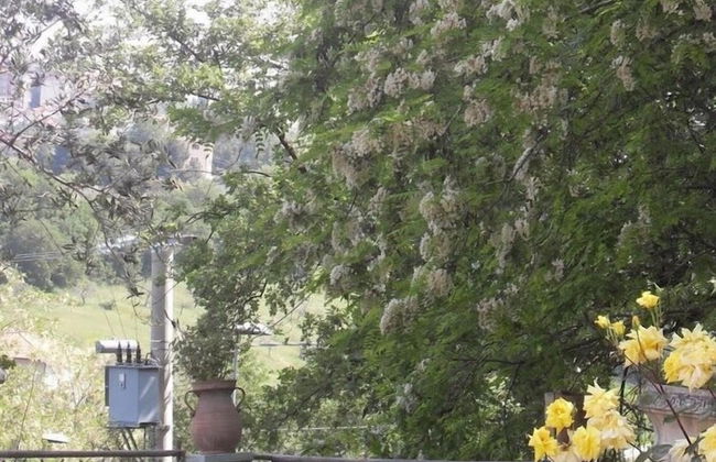 Il Quadrifoglio - Foto 56