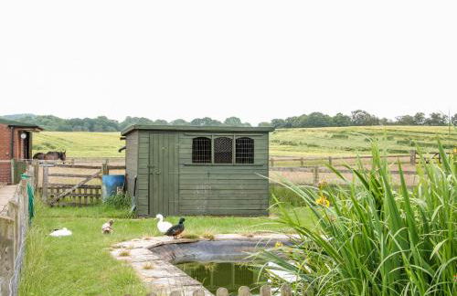 Springfield House - Photo 20