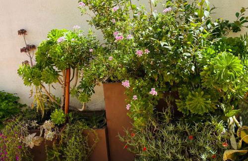 Figueres Center - Foto 32