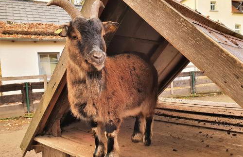 Rittergut Dornreichenbach - Foto 28