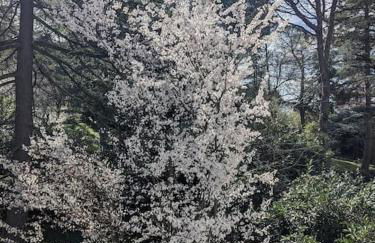 Le Stagioni del Parco - Foto 71