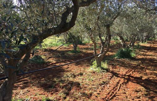 Villa Elena ΝΕΑΠΟΛΗ ΒΟΙΩΝ - Foto 5