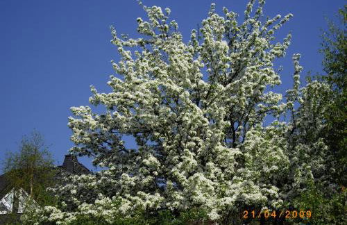 Lichtblick - Foto 19