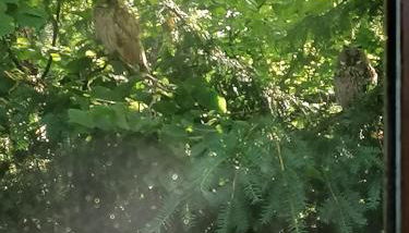 Schwarzwald Appartement - Foto 3