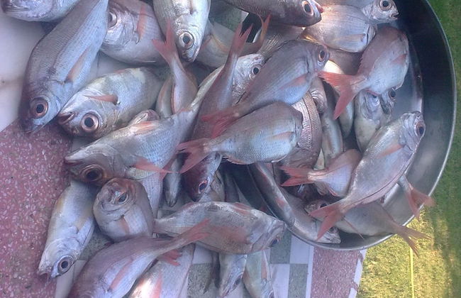 Kalogirou Stone House - Foto 38