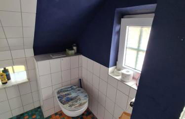 Die Sonnenblume - Foto 4