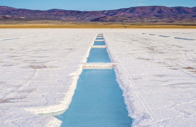 Excursion aux Salinas Grandes - Photo 1