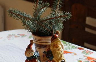 Górski Sad - Bazylia - Foto 8