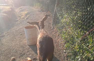 Agriturismo Paneolio - Foto 34