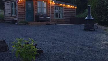 Pondside Cabin - Photo 4