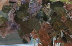 1 Chapel Nazareth - Foto 21