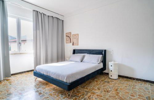 Helianthus - Photo 14