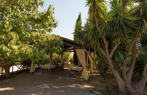 B&B Corte degli Struzzi - Foto 6